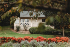 The Mountain View Cottage